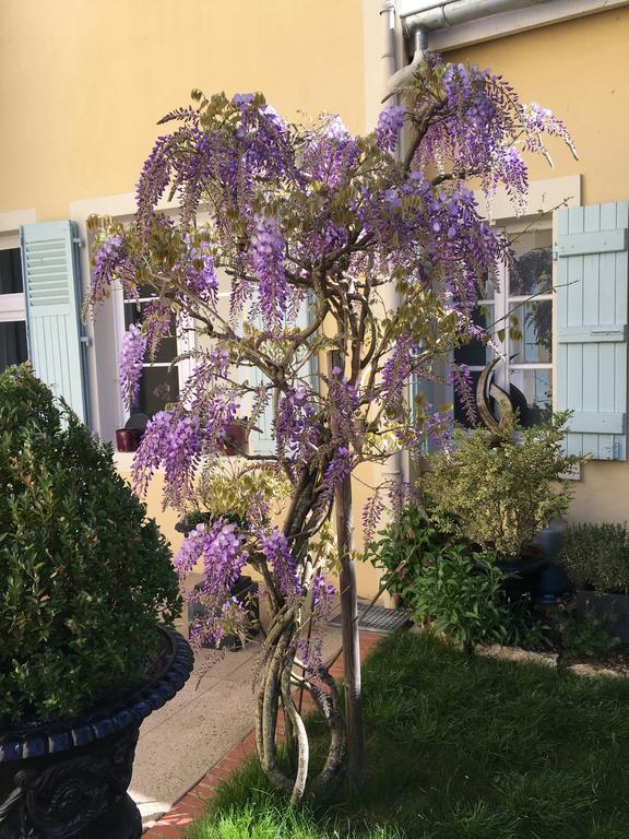 Chambres d'Hôte Le Clos de L'Argolay Charolles Exterior foto